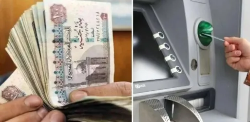 معاشات يناير.PNG معاشات يناير 2025