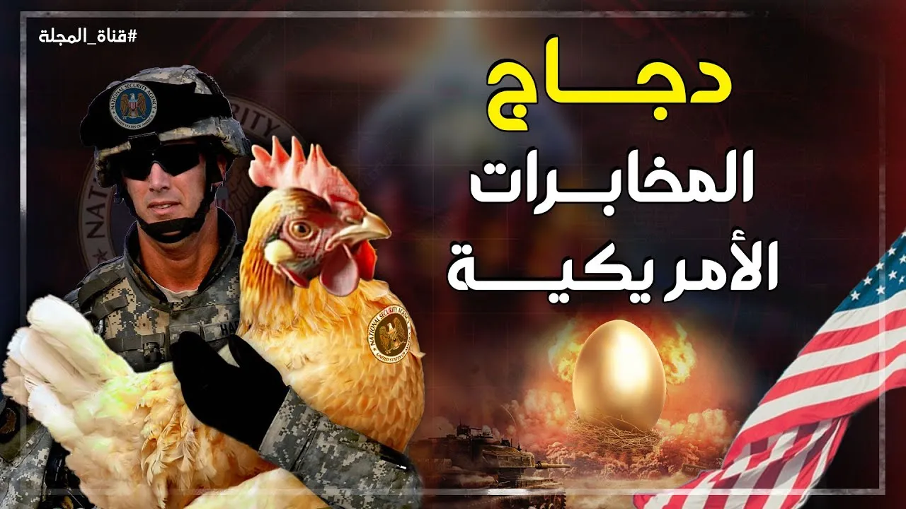 دجاج المخابرات الأمريكية.jpg دجاج المخابرات الأمريكية