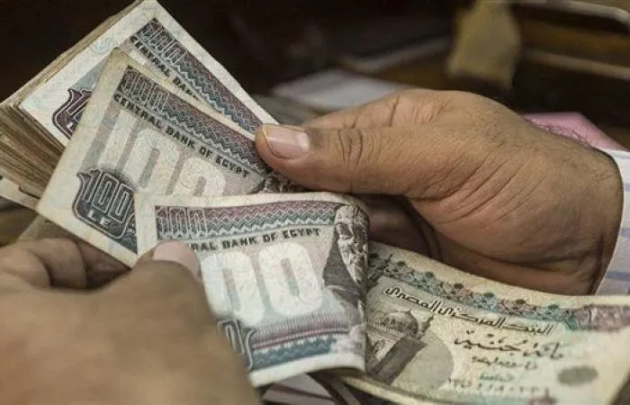 الاستعلام عن قيمة المعاش بالرقم القومي الاستعلام عن قيمة المعاش بالرقم القومي