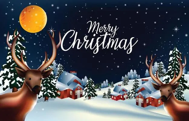 صورة عيد الميلاد صورة عيد الميلاد