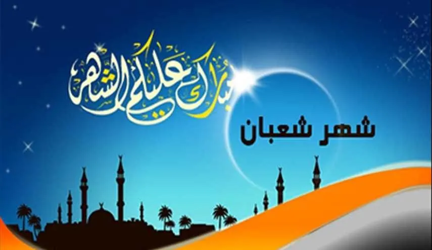 صور شهر 2.jpg