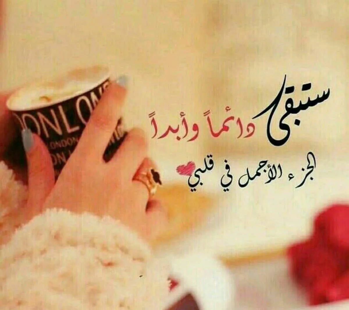 كلام عن عيد الحب كلام عن عيد الحب