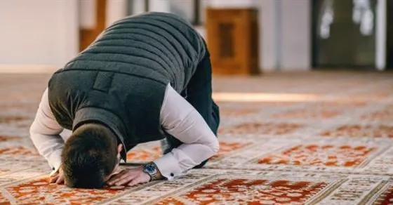 عدد ركعات صلاة التراويح عدد ركعات صلاة التراويح