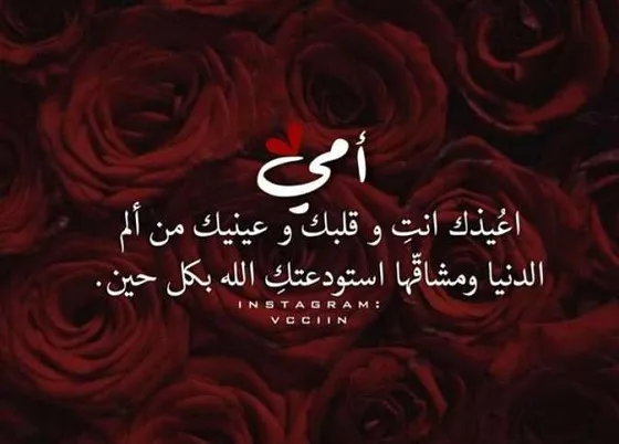 صور وبوستات تهنئة عيد الأم 2025 صور وبوستات تهنئة عيد الأم 2025