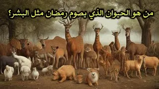 ما هو الحيوان الذي يصوم في رمضان ما هو الحيوان الذي يصوم في رمضان